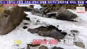 포스터