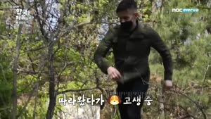 포스터
