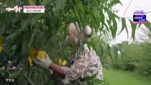 엄마의 봄날.E575.260920.720p-NEXT