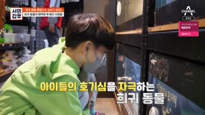 포스터