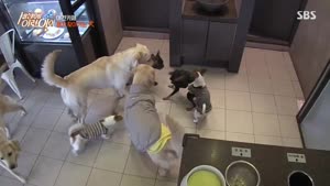 포스터