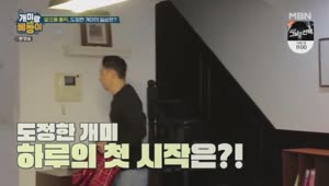 포스터