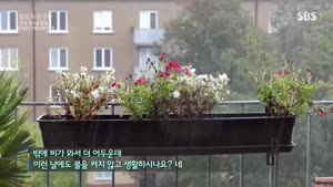 포스터