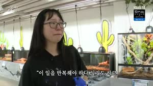 포스터