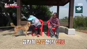 포스터