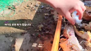 썸네일 이미지