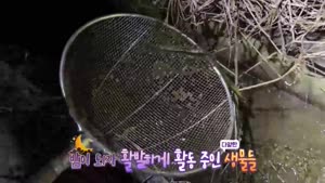 썸네일 이미지