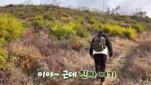 썸네일 이미지
