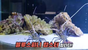 썸네일 이미지