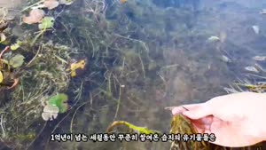 썸네일 이미지