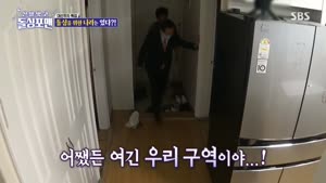 포스터