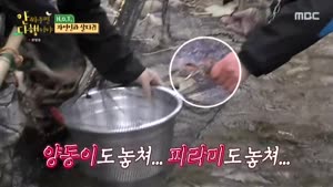 포스터