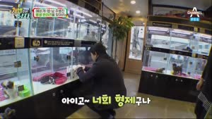 포스터