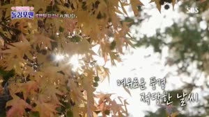 포스터