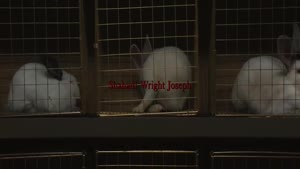 [ 어스 ] 공포 스릴러-우리는 누구인가