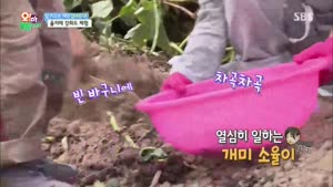 포스터