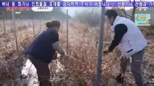포스터