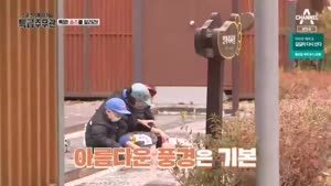 포스터