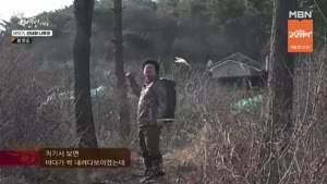 포스터