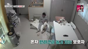 포스터