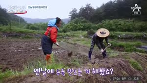 포스터