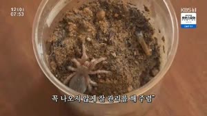 포스터
