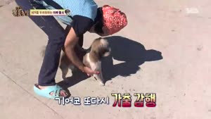 포스터