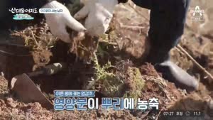 포스터