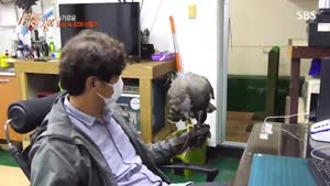 포스터