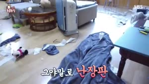 포스터