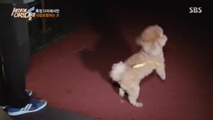 포스터