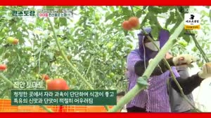 포스터