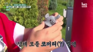 포스터