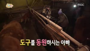 포스터