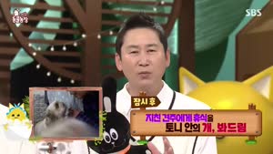 포스터
