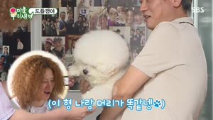 포스터