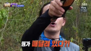 포스터