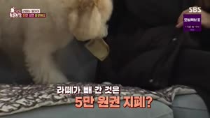 포스터
