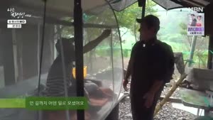 포스터