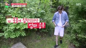 포스터