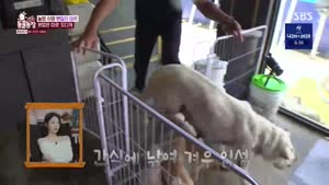 썸네일 이미지