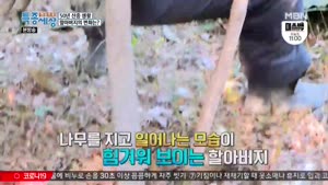 포스터