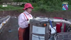 포스터