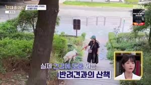 [MBN] 건강히어로.E52.261015.720p-NEXT
