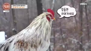 포스터