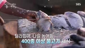 포스터