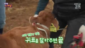 포스터