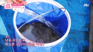 포스터
