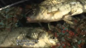 OBS 테마스페셜 - DMZ, 흐르지 않는 강.HDTV.720p.x264-STA