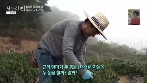 포스터
